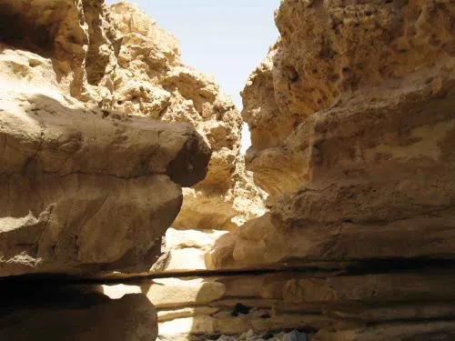 صخور وأخدود محمية وادي دجلة في المعادي